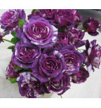 Скентед Джевел (Scented Jewel)#90