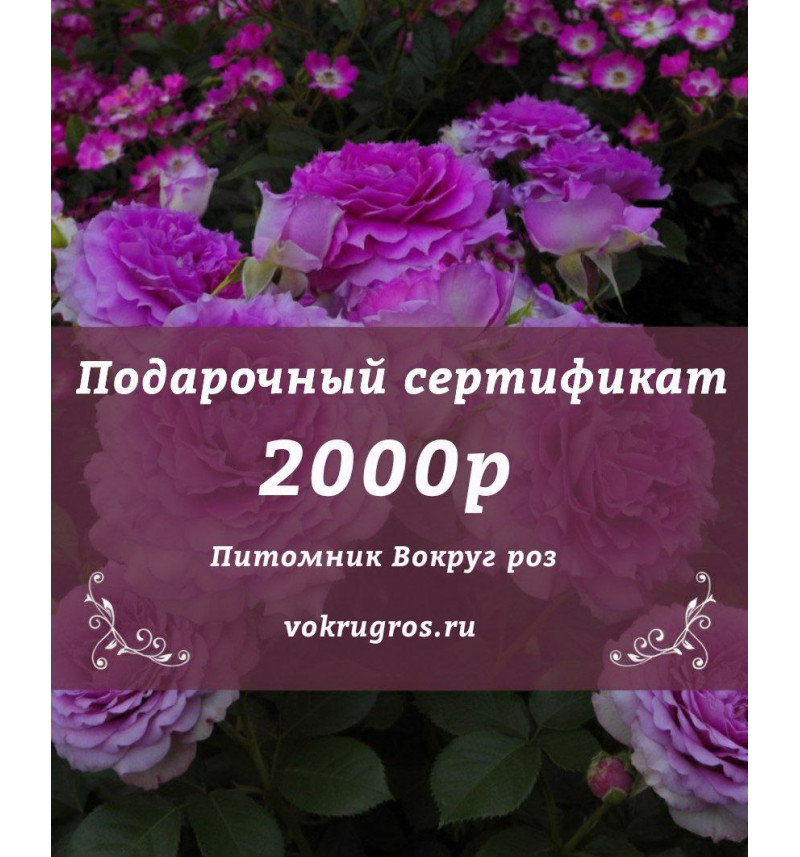 Подарочный сертификат на 2000рублей.