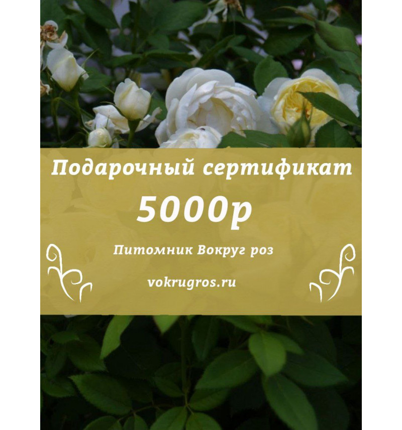 Подарочный сертификат на 5000рублей